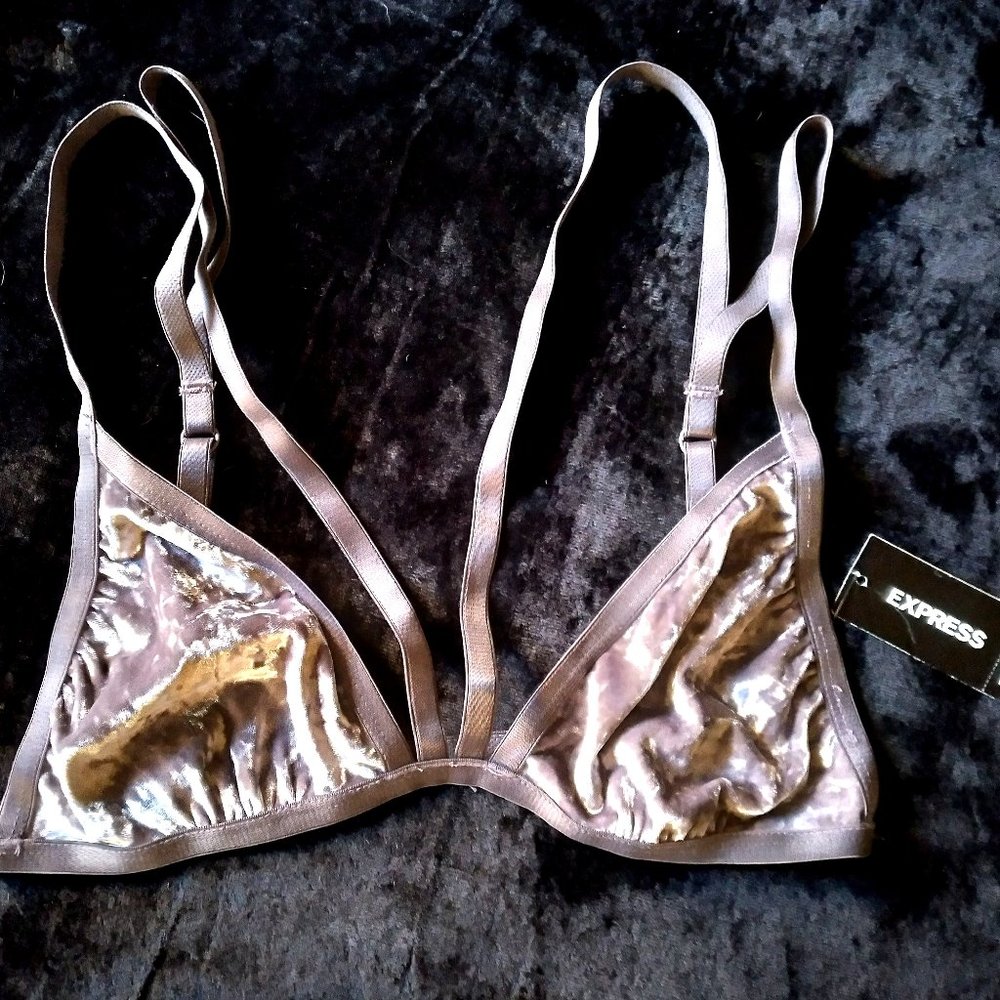 NWT Express Silver Velvet Strappy Bralette